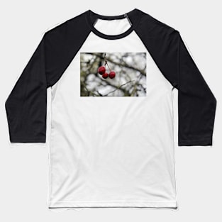 Hanging on - Crabapples in Winter Baseball T-Shirt